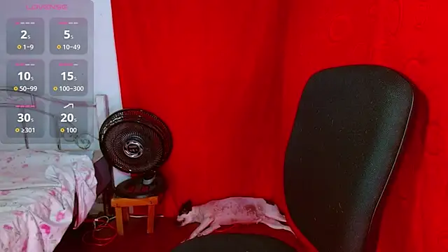 latin princess 12 online show from 12, 2, 2026