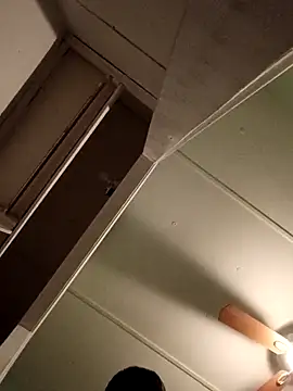 Snapshot of JoshingExegesis chatting on 1, 3, 2026 JoshingExegesis online show from 1, 3, 2026