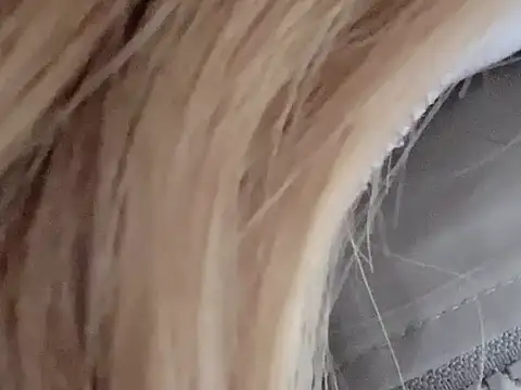 dingding-520 online show from 4, 3, 2026