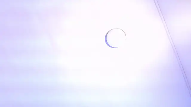 TINY TAY online show from 11, 2, 2026