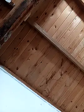 Snapshot of luna_pinky chatting on 1, 3, 2026 luna pinky online show from 1, 3, 2026