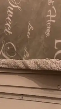 BadyAndShay5 online show from 22, 3, 2026