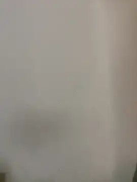 exoticshruti online show from 11, 2, 2026