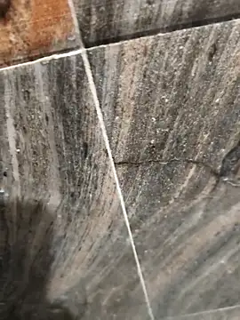 Bengal Tiger420 online show from 17, 4, 2026