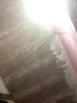 Dipti hote online show from 10, 2, 2026