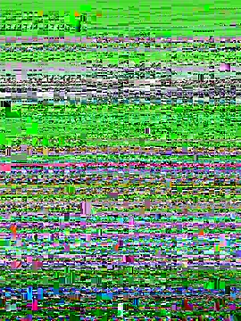 AsynaYuuki online show from 5, 3, 2026