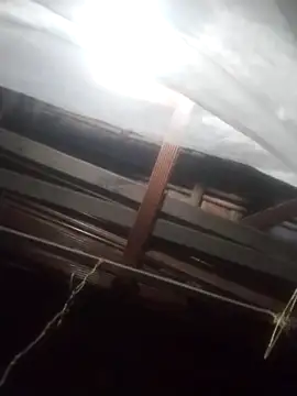 Snapshot of degeneradicto chatting on 15, 2, 2026 degeneradicto online show from 15, 2, 2026