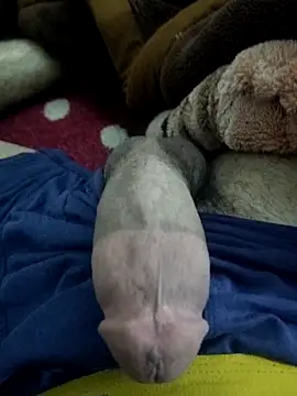 Snapshot of amirMohamed58 chatting on 23, 2, 2026 amirMohamed58 online show from 23, 2, 2026