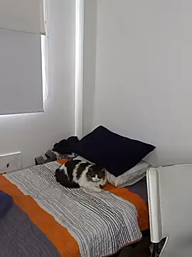 Snapshot of Nikolth_4 chatting on 4, 2, 2026 Nikolth 4 online show from 4, 2, 2026