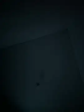 Snapshot of dominick_fran chatting on 11, 2, 2026 dominick fran online show from 11, 2, 2026