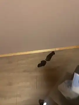 kin-y7 online show from 7, 2, 2026