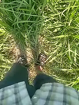 Snapshot of Cute_Boy_4 chatting on 22, 2, 2026 Cute Boy 4 online show from 22, 2, 2026