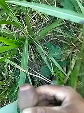 Cute Boy 4 online show from 14, 4, 2026