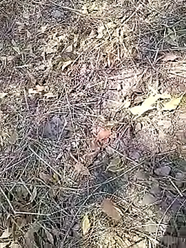 Cute Boy 4 online show from 16, 4, 2026