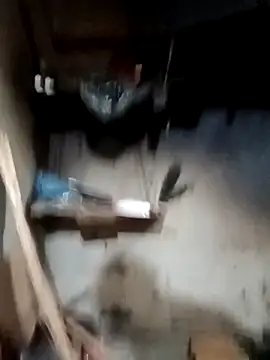 l kiss online show from 2, 4, 2026