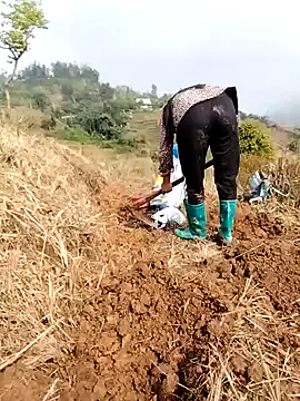 Tina-beo online show from 24, 3, 2026