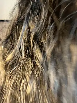 Snapshot of Denise_wolfe21 chatting on 19, 2, 2026 Denise wolfe21 online show from 19, 2, 2026