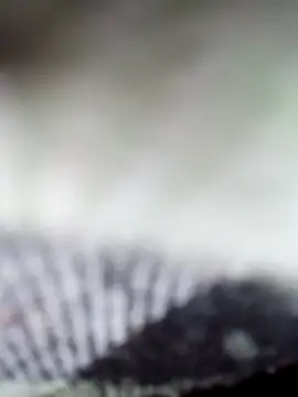 Snapshot of Sexy-Sony770 chatting on 7, 2, 2026 Sexy-Sony770 online show from 7, 2, 2026