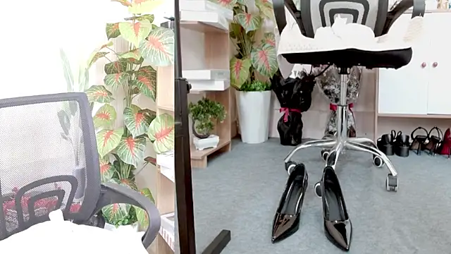 Zinna999 online show from 7, 3, 2026