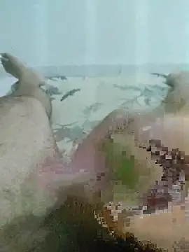 putopau15 online show from 24, 3, 2026