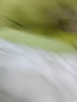 Snapshot of ONixCris chatting on 20, 2, 2026 ONixCris online show from 20, 2, 2026