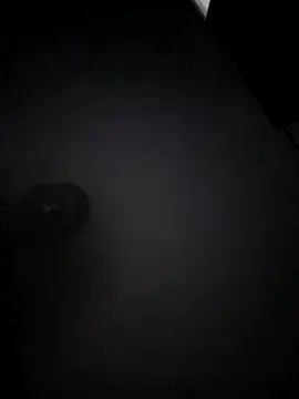 Snapshot of franc_300 chatting on 16, 4, 2026 franc 300 online show from 16, 4, 2026