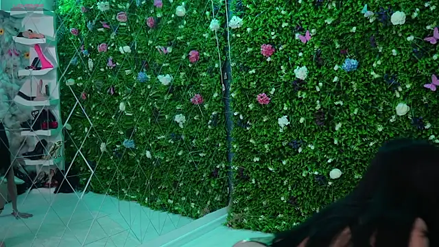 Baby nico online show from 26, 2, 2026