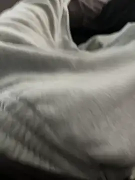 bugballs1 online show from 20, 2, 2026