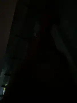 Rabbit-15 online show from 8, 4, 2026