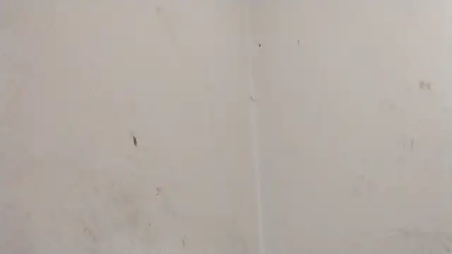 MisterSnowww online show from 6, 3, 2026