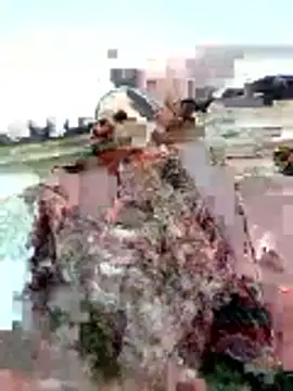 Manu mehta online show from 5, 4, 2026