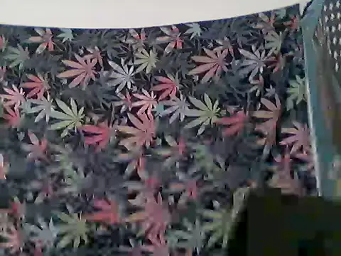 libraxxxstudios online show from 12, 6, 2026