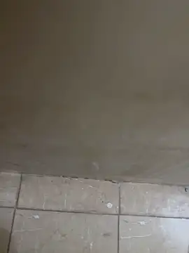 torchermachine online show from 18, 4, 2026