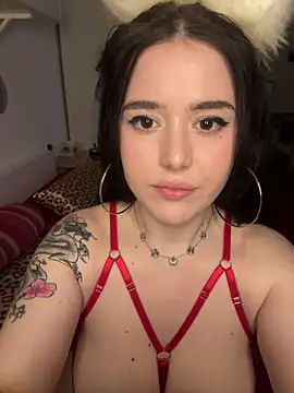 Snapshot of Venustrapp chatting on 14, 2, 2026 Venustrapp online show from 14, 2, 2026