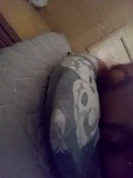 loveofpetitegirls34 online show from 21, 2, 2026