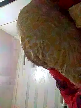 loveofpetitegirls34 online show from 24, 3, 2026