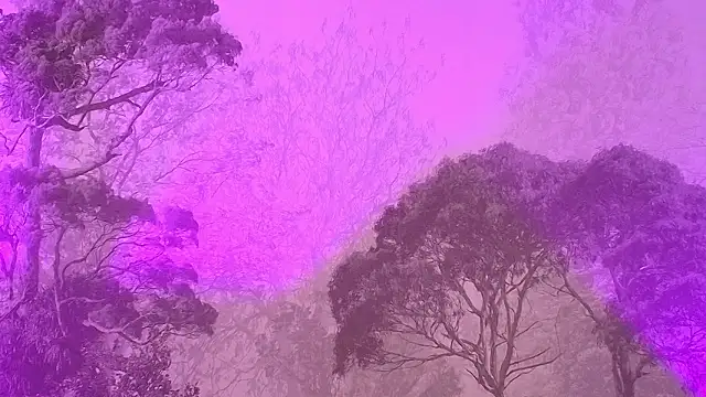 Elizabeth Ferrer online show from 16, 3, 2026