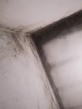 Snapshot of Lamich chatting on 13, 2, 2026 Lamich online show from 13, 2, 2026