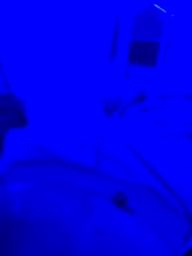 Snapshot of bojo69 chatting on 13, 2, 2026 bojo69 online show from 13, 2, 2026