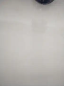 Snapshot of macariocb chatting on 8, 2, 2026 macariocb online show from 8, 2, 2026