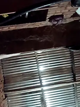 Hot ree64 online show from 27, 3, 2026