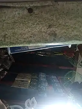 Wildcam21 online show from 17, 3, 2026