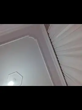 Snapshot of boraaily chatting on 19, 2, 2026 boraaily online show from 19, 2, 2026