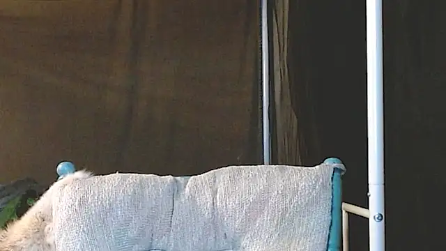 cguffey2284 online show from 20, 3, 2026