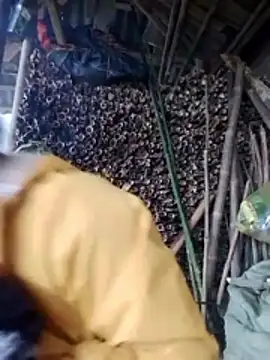 Susi-baby online show from 8, 3, 2026