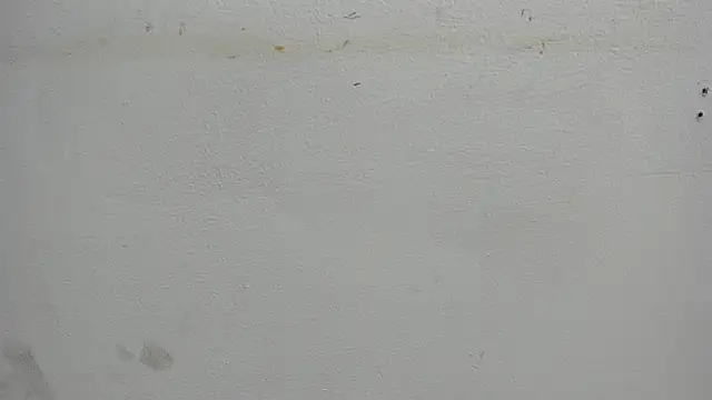 Kitty f00x online show from 15, 7, 2026
