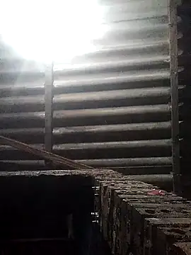 Linka998 online show from 16, 3, 2026