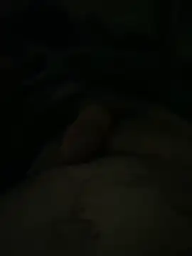 stallone italiano 62 online show from 11, 4, 2026