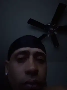 BEEDEEZEE online show from 12, 4, 2026