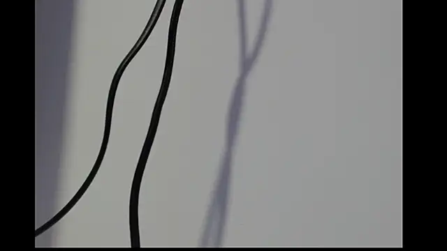 michell bunny1 online show from 5, 3, 2026